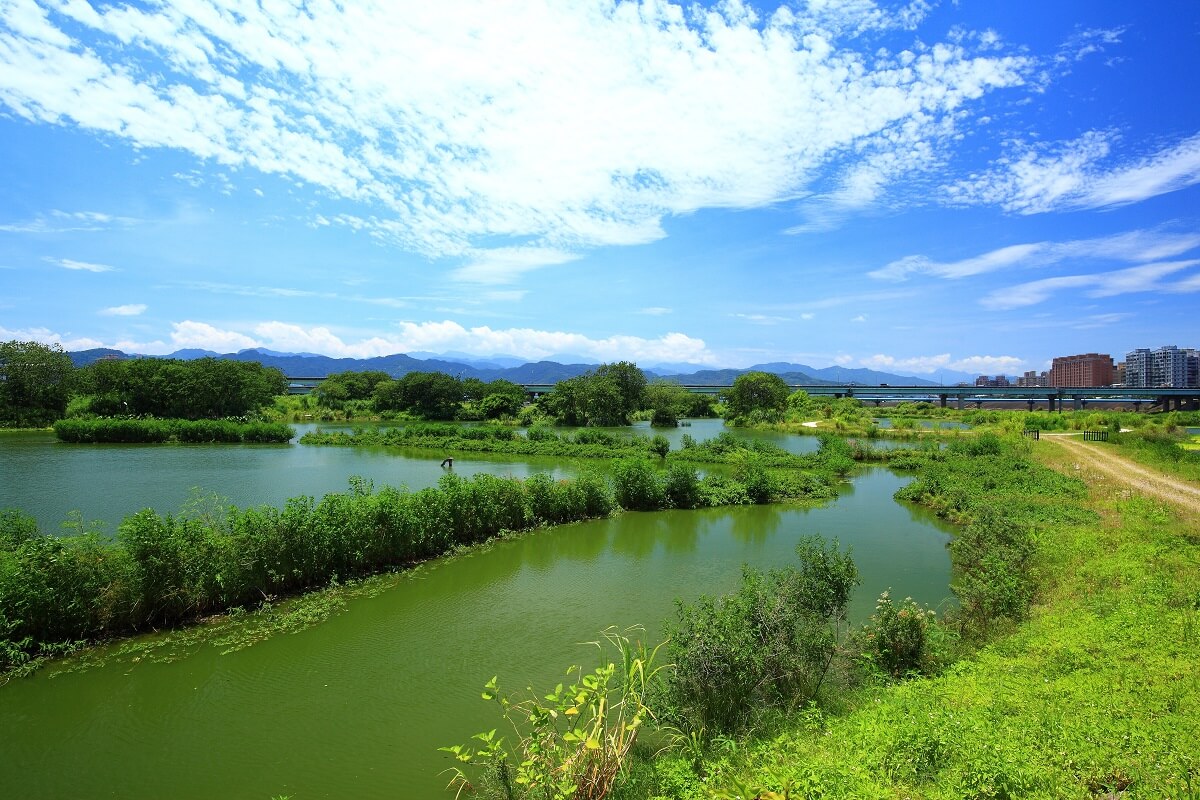 浮洲人工濕地